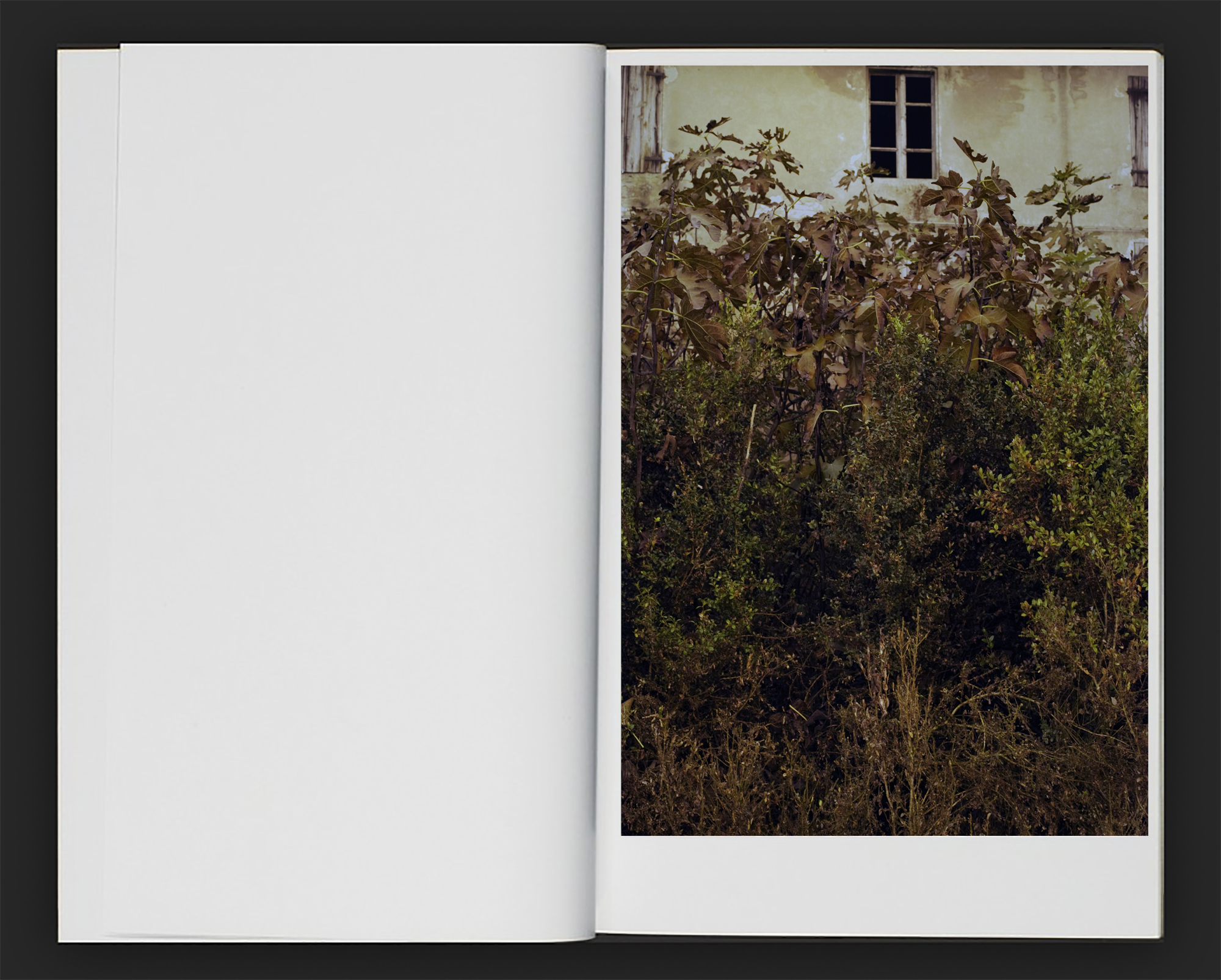 Screenshot 2015-09-15 08.53.08.png