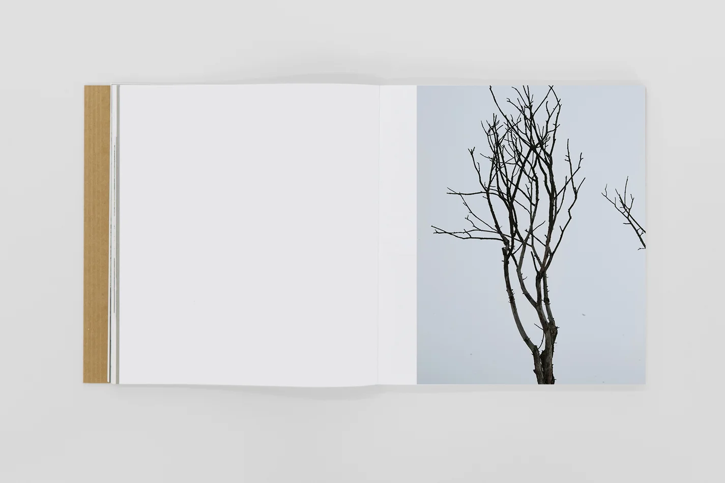  From this arises the desire to analyze comparatively the different interpretations of the compositions, distilling some rules that make the process of identifying the subject less occasional, less random and more controllable, in order to appropriat