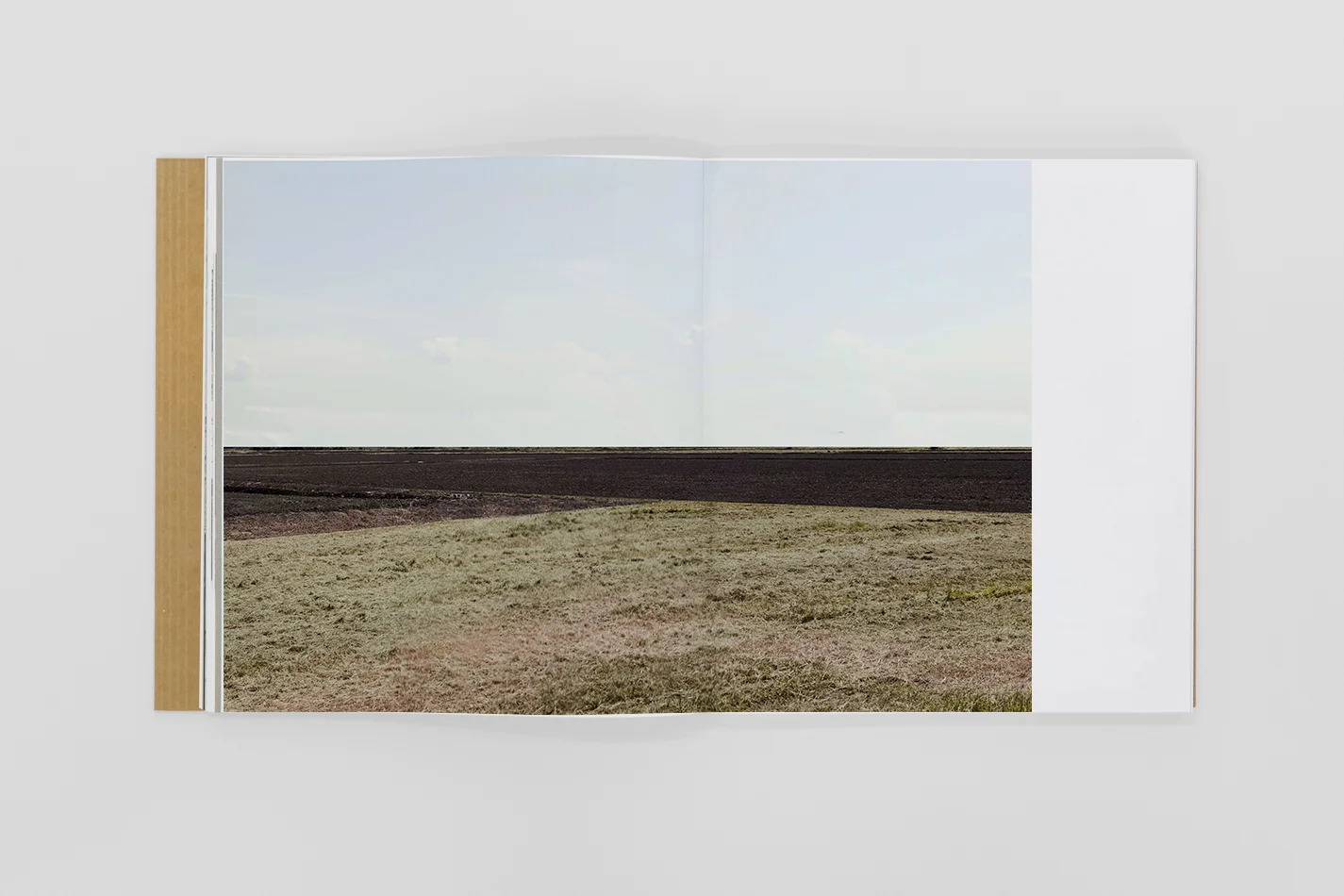  Even more important is a detail, minimal but decisive: Rizzi was the first to identify the Genius loci, clearly visible in the reading of his images. His discovery was all the more relevant because, as is also evident from the photographs, this deta