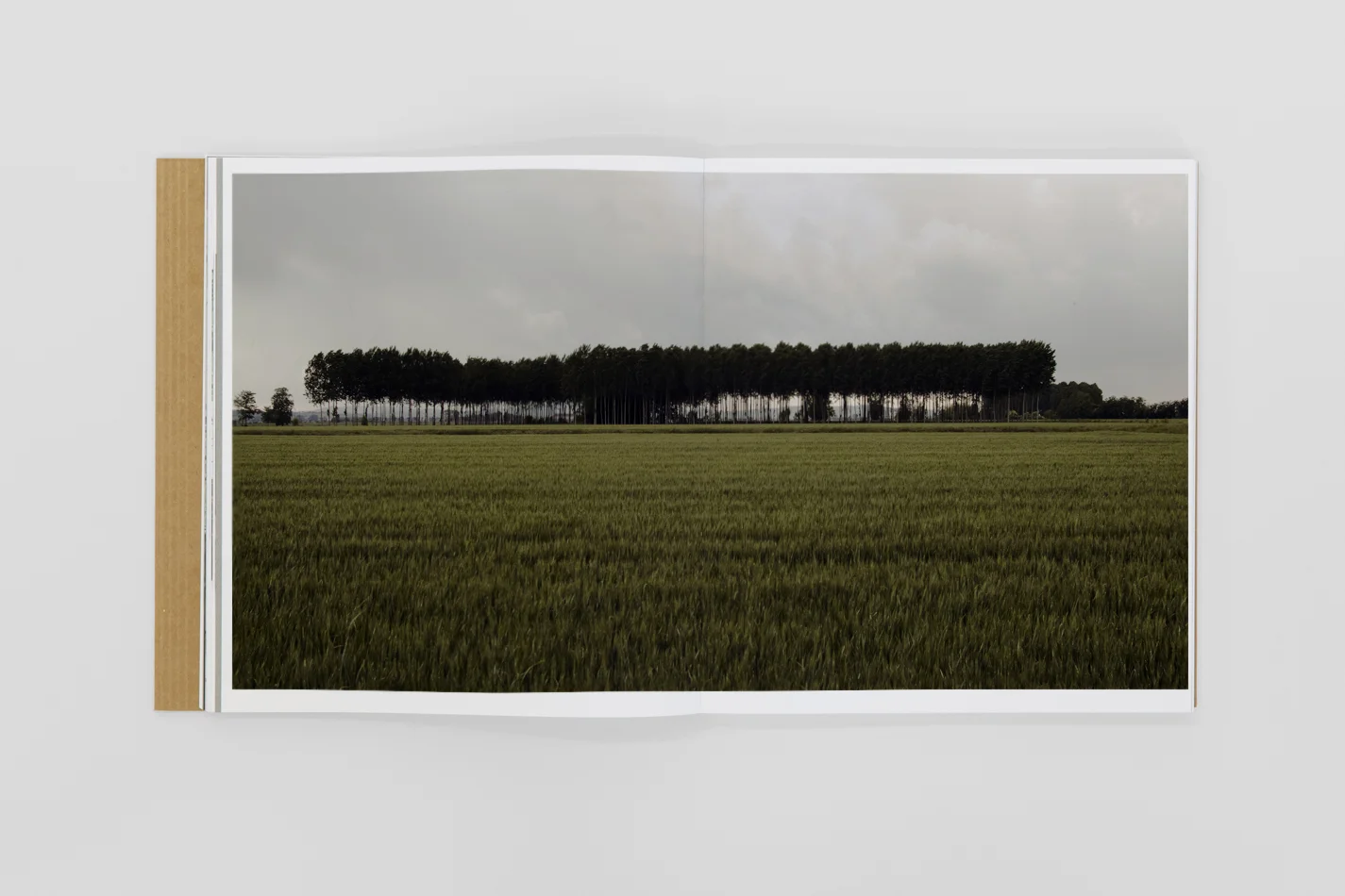 ALESSANDRIA_PROJECT_21.jpg