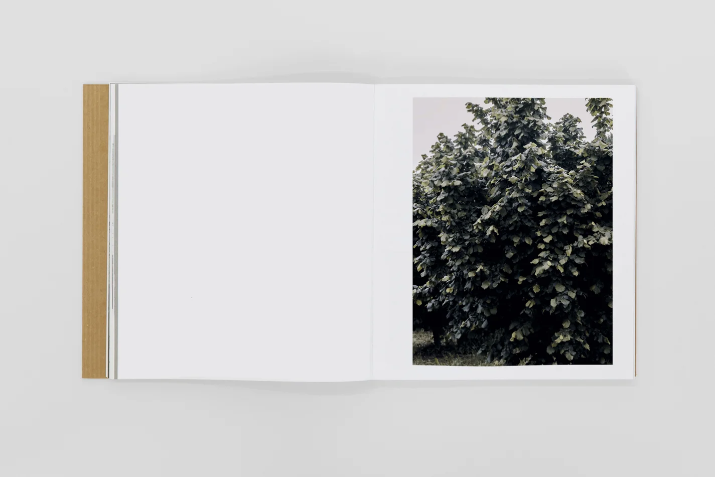  In Rizzi's photography, the city is very absent, and remains almost imperceptible in the background. It is like an image without any human presence, as if the subconscious portrayed the hours of earthly work trapping it forever in the photographic s