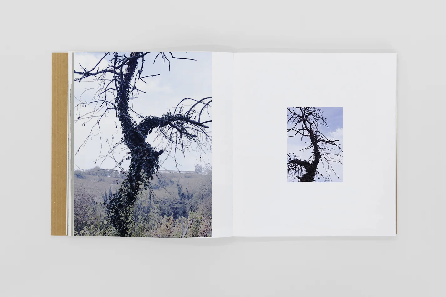 All of Rizzi's photographs take place towards the center, only the object of his attention is different: in the upside, a solemn and fluctuating drapery shows itself as having landed on the earth from the sky. The lightning of the eye dominates the vast landscape, tearing the earth, the green, the roads, the sky, the clouds inside. And since the subject of attention is similar, it happens that the viewers of photography are its own components. In the study of the Alexandrian landscape it was a matter of exploring the hypotonic, the same photograph formed a series, not necessarily to have the same composition, or to put it in photographic language the same "view", but because Rizzi uses a similar mental scheme to appropriate the his language. Without summarizing here each step of my argument, I will remember the most important point: the conjecture that Rizzi's work can be read as a sort of iconographic synonym of the Alexandrian. The recurrent representation of the Landscape, which becomes a symbol of a powerful voice, makes this hypothesis easy. This was therefore the exegetical proposal for the photographic project.