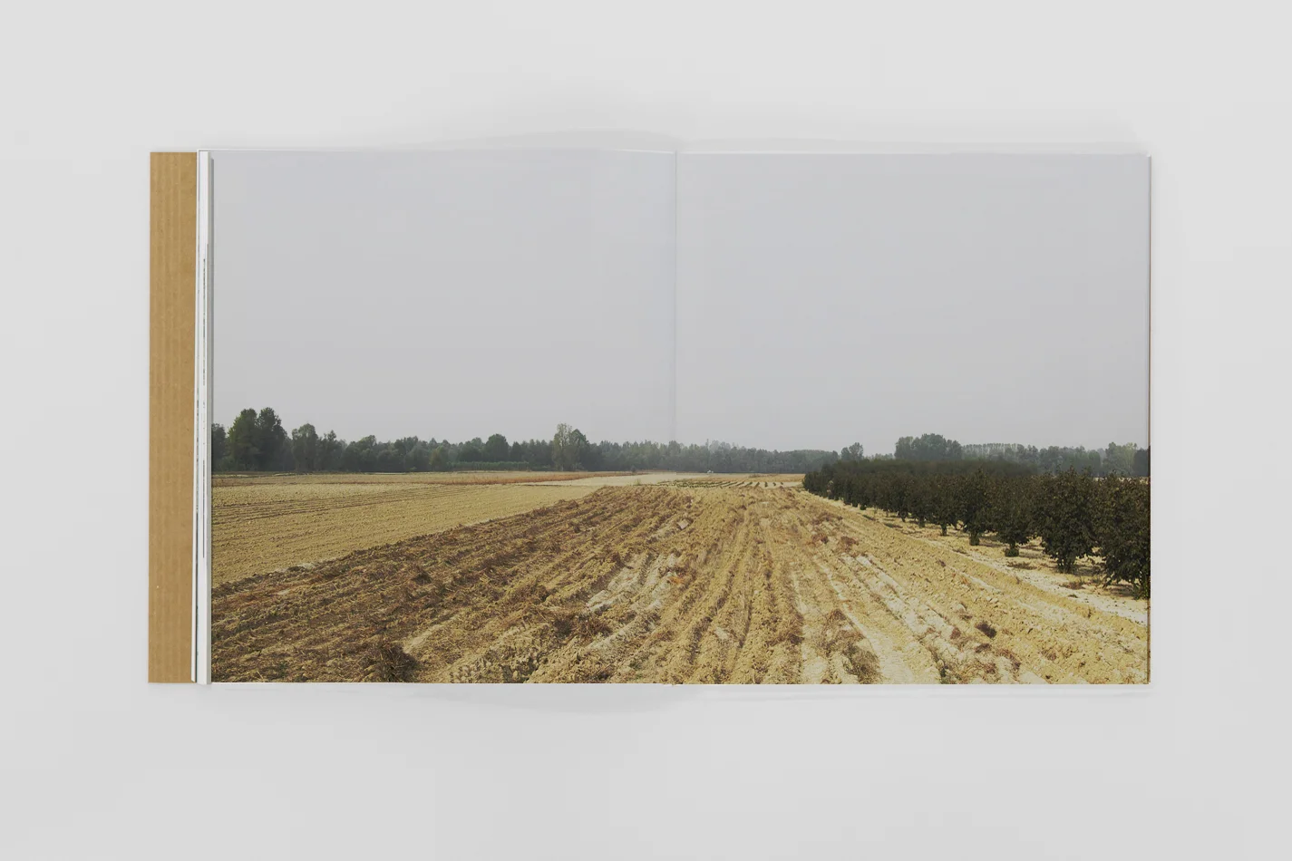 ALESSANDRIA_PROJECT_54.jpg