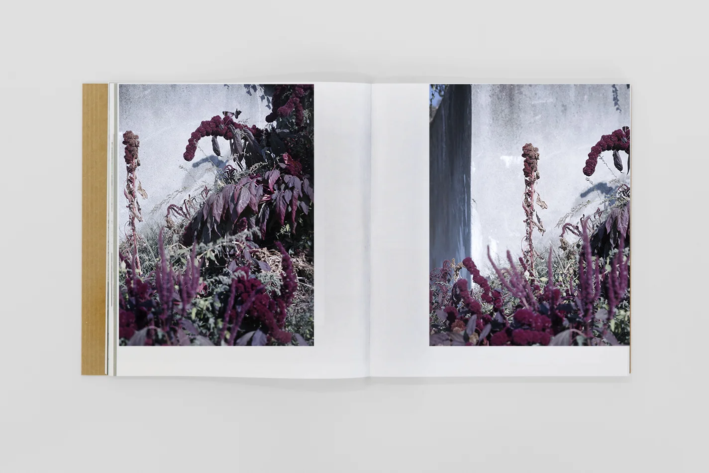  Oltre, perso nel vasto paesaggio alle spalle della pianura o della montagna, l’uomo sta di guardia, e l’artista costruisce un ponte che conduce a una prova di virtuosismo visuale. Non sarà forse la dimostrazione ultima che quella scena debba essere 