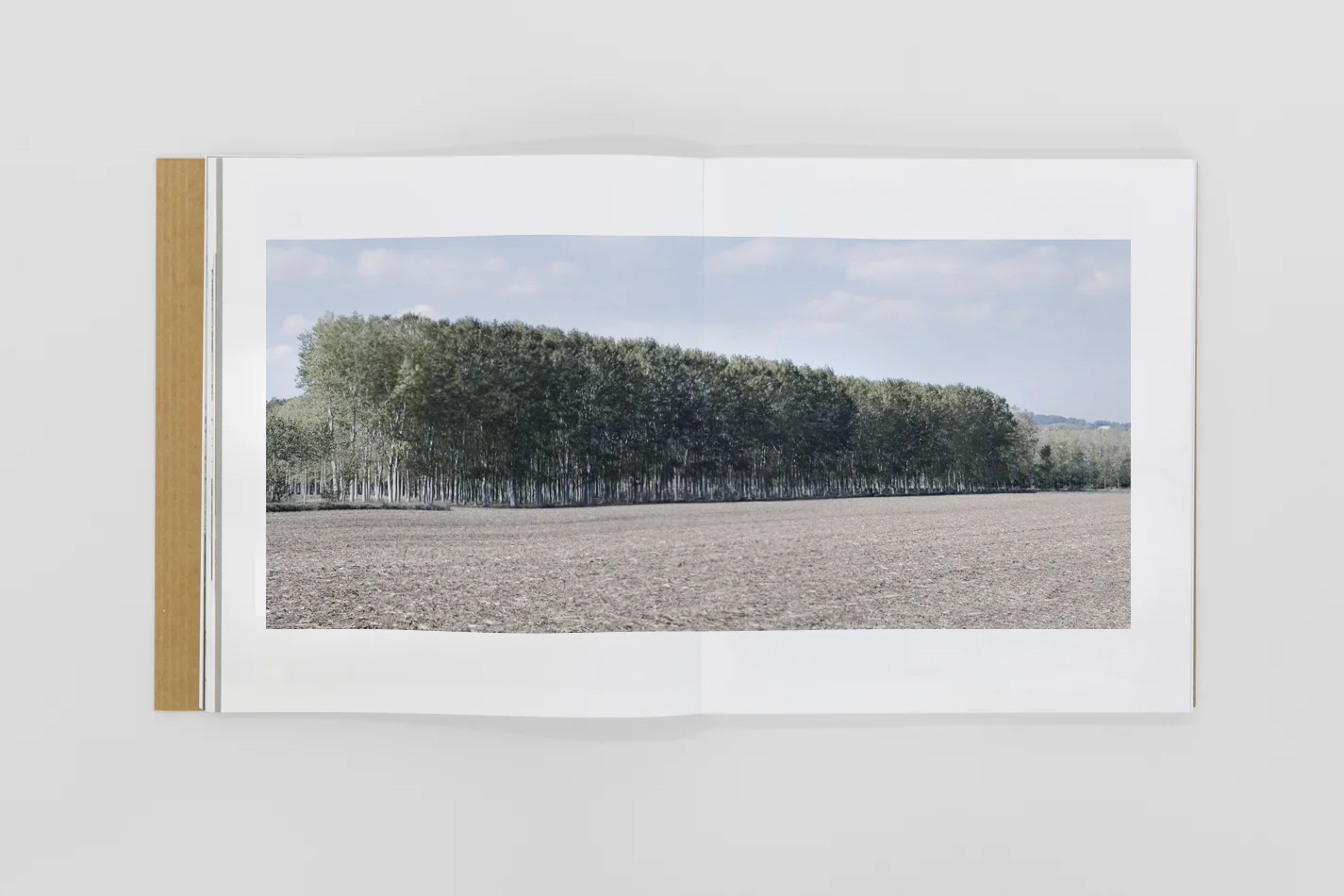 ALESSANDRIA_PROJECT_66.jpg