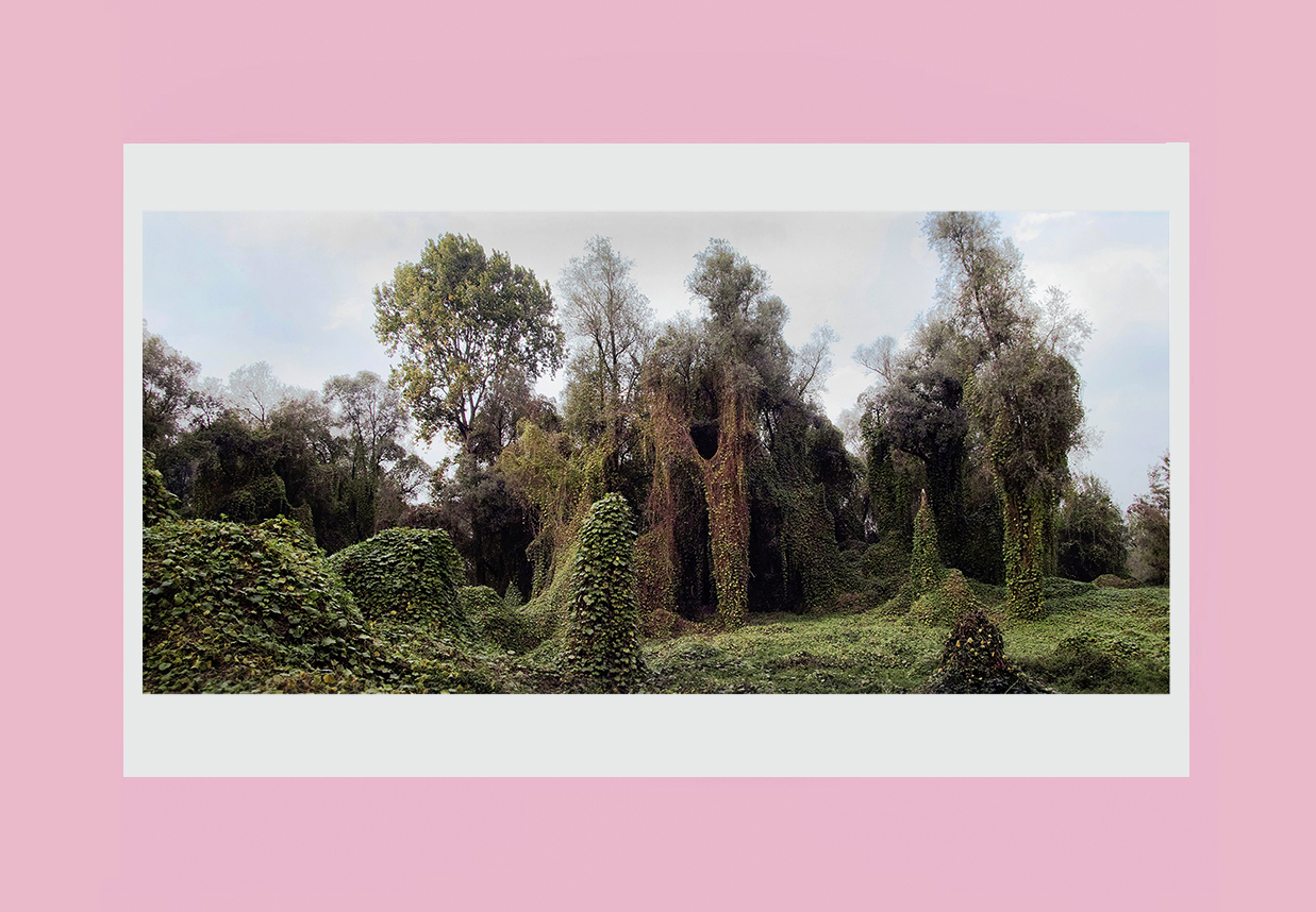 Alessandria-STUDIO FEED_02.jpg