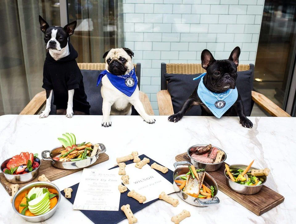 https___blogs-images.forbes.com_melissakravitz_files_2019_04_Wilson-Dog-Menu-62-1200x908.jpg