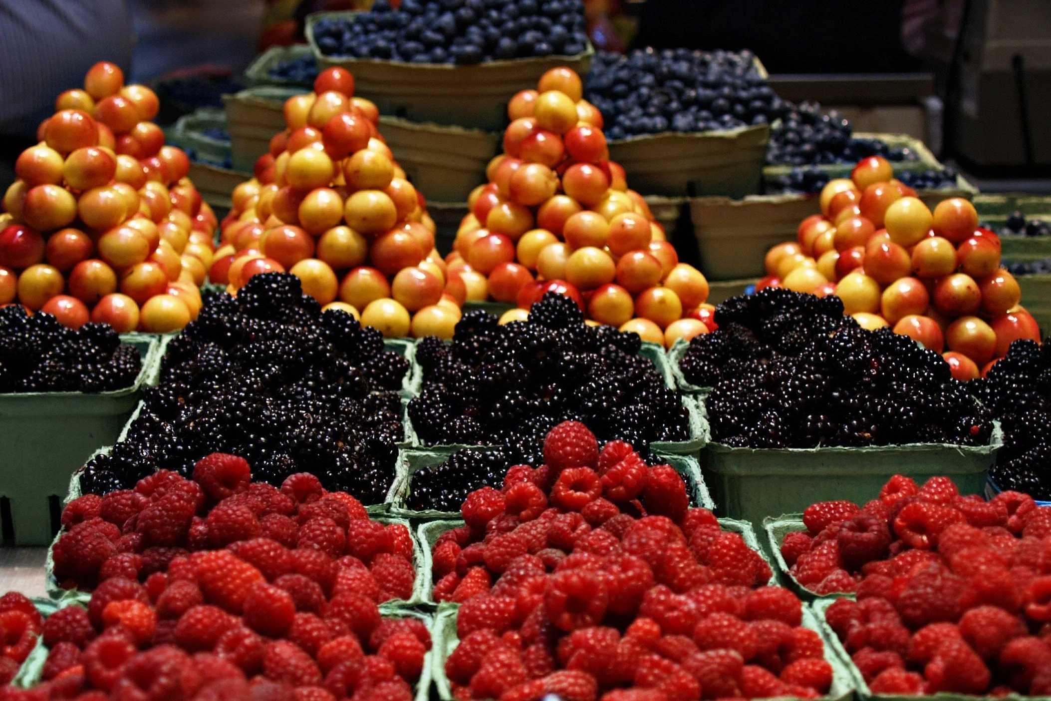 bunch-cherries-colorful-86459.jpg