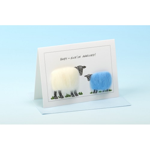 VB Baby Blue.jpg