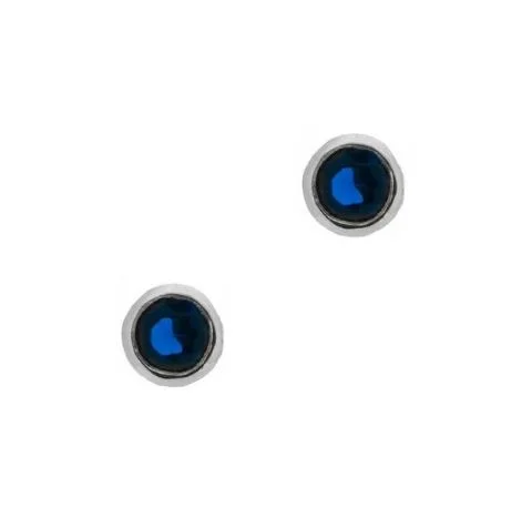 Sapphire Colour stone earrings.JPG