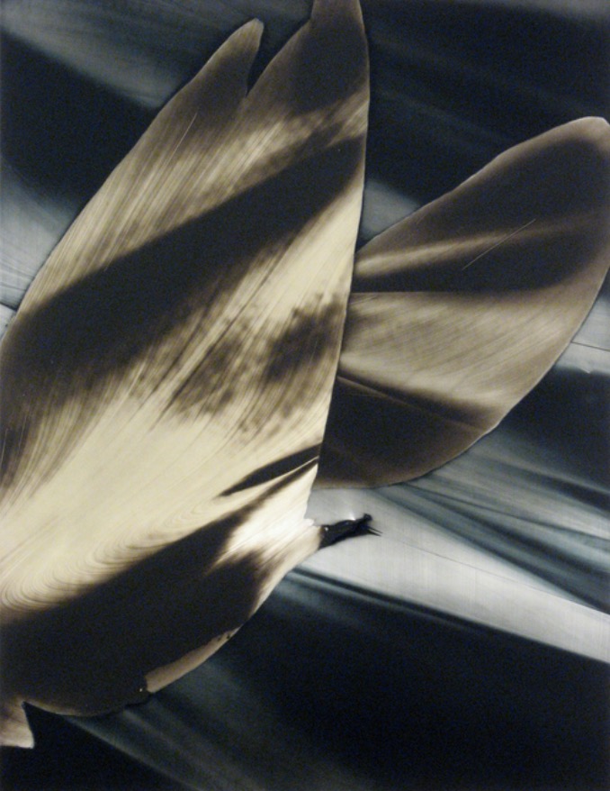 untitled 2011