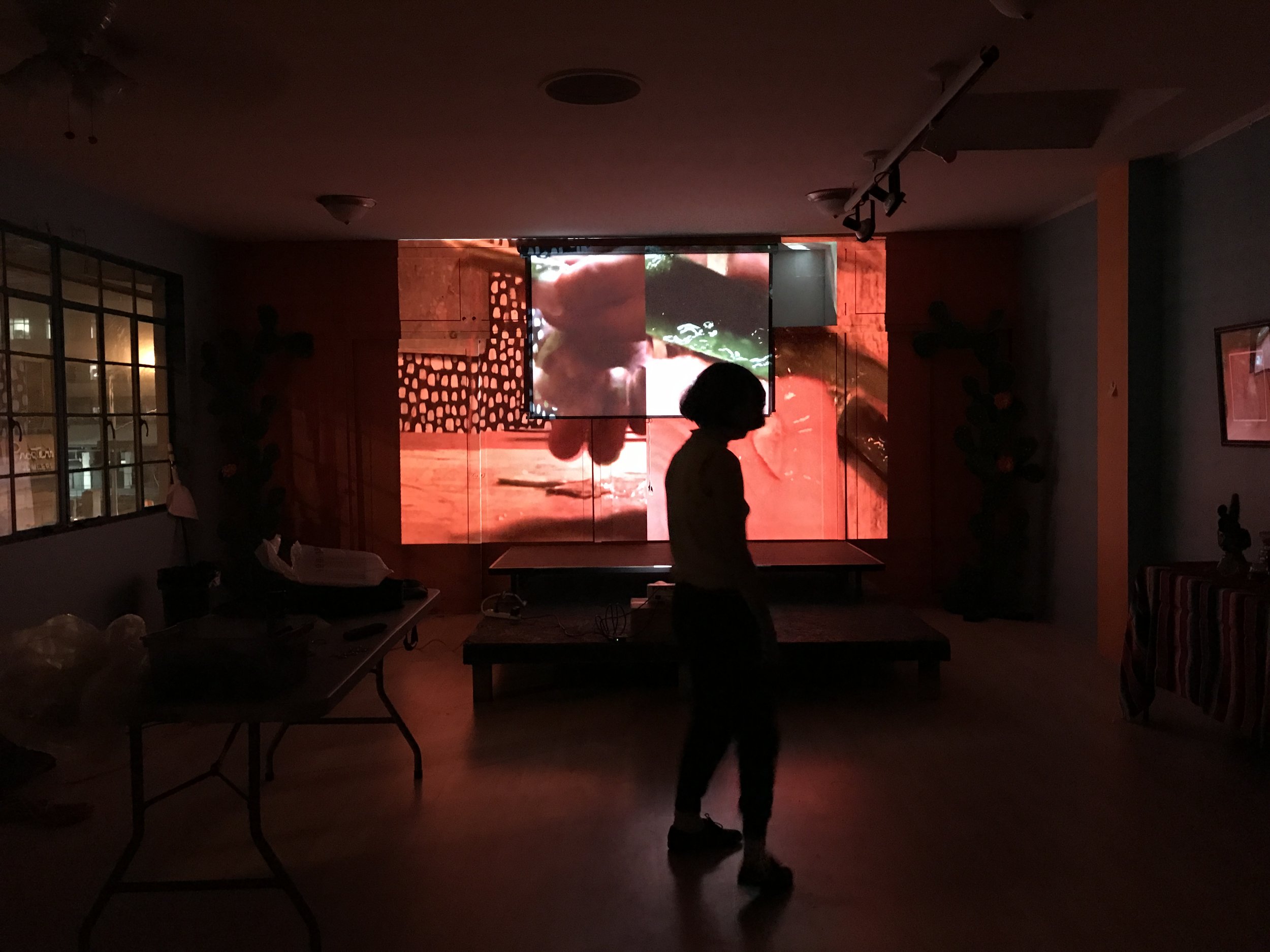  still from  Nepantla , 2016.  exhibition: Nepantla, A Group Show 2. Fres.Co collective space. Fresno, CA. 2017.  video projection installation. Brenda Morales and Adrianna Alejo Sorondo. 