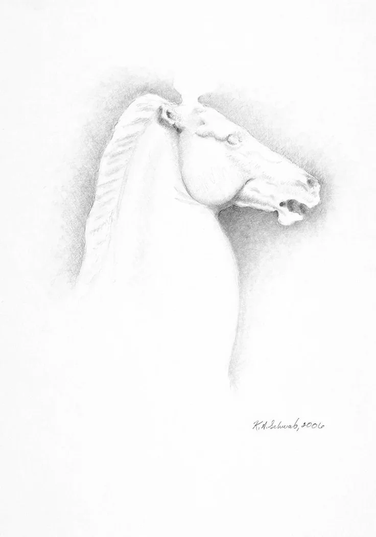 Detail of Horsehead