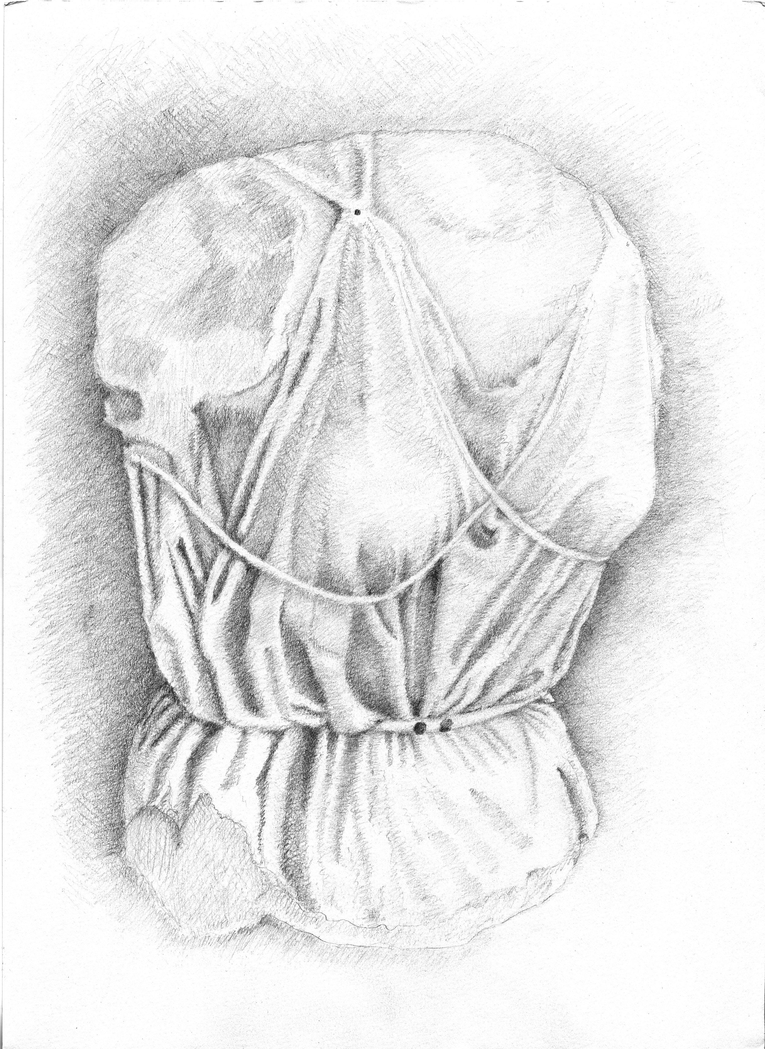 Selene-Nyx-Torso-ParthenonEastPediment.jpg (Copy)