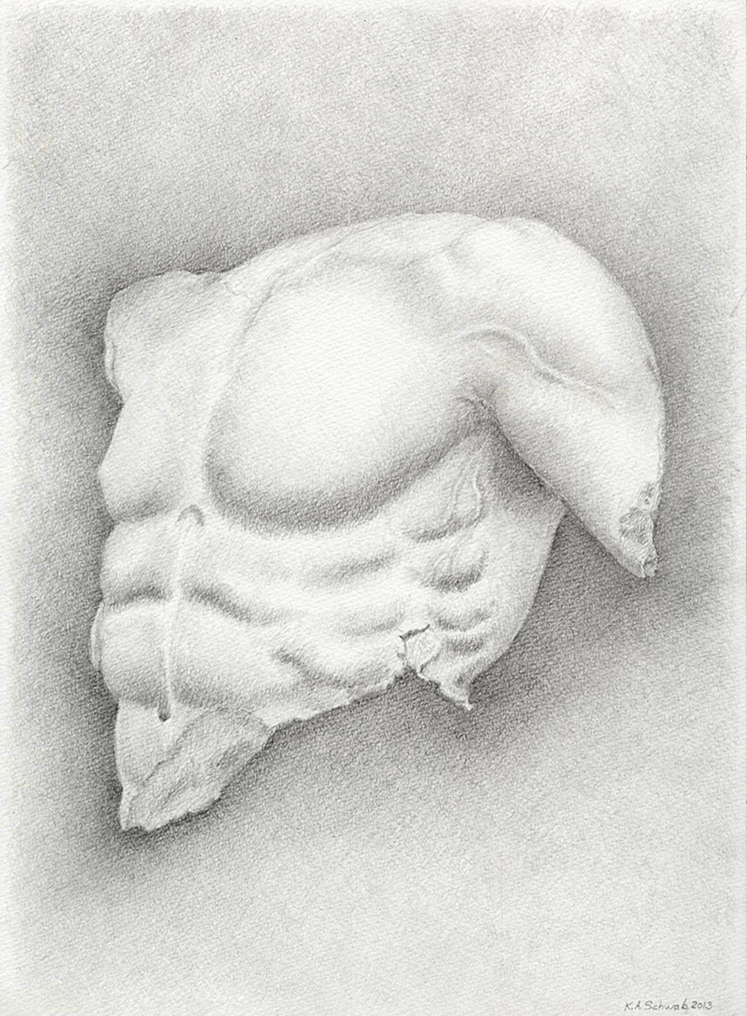 Poseidon-Torso-ParthenonWestPediment.jpg (Copy)