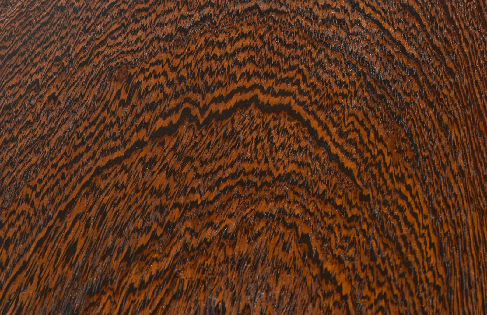 1Table_003.jpg