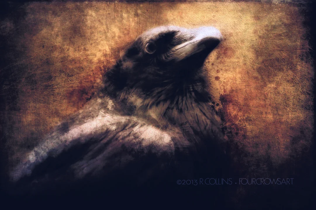 Raven Portrait