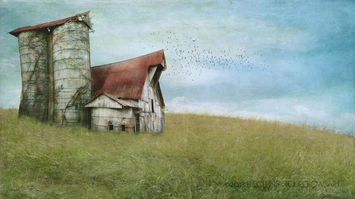 Barnyard