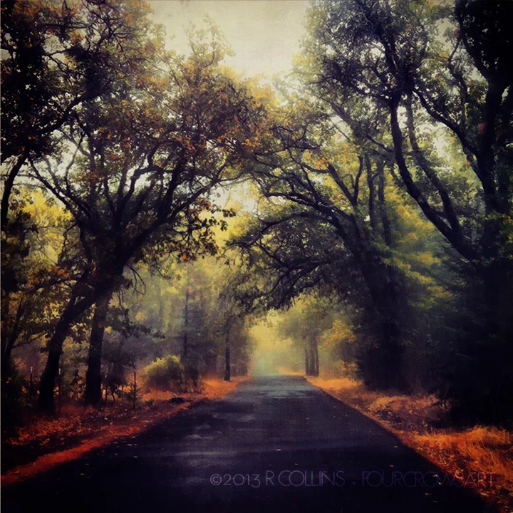 autumndrivend.jpg