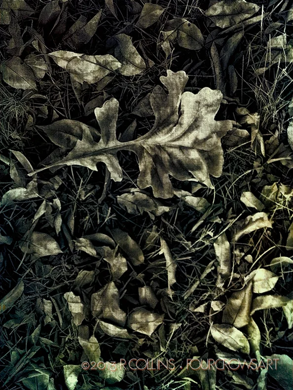 autumnwalk.jpg