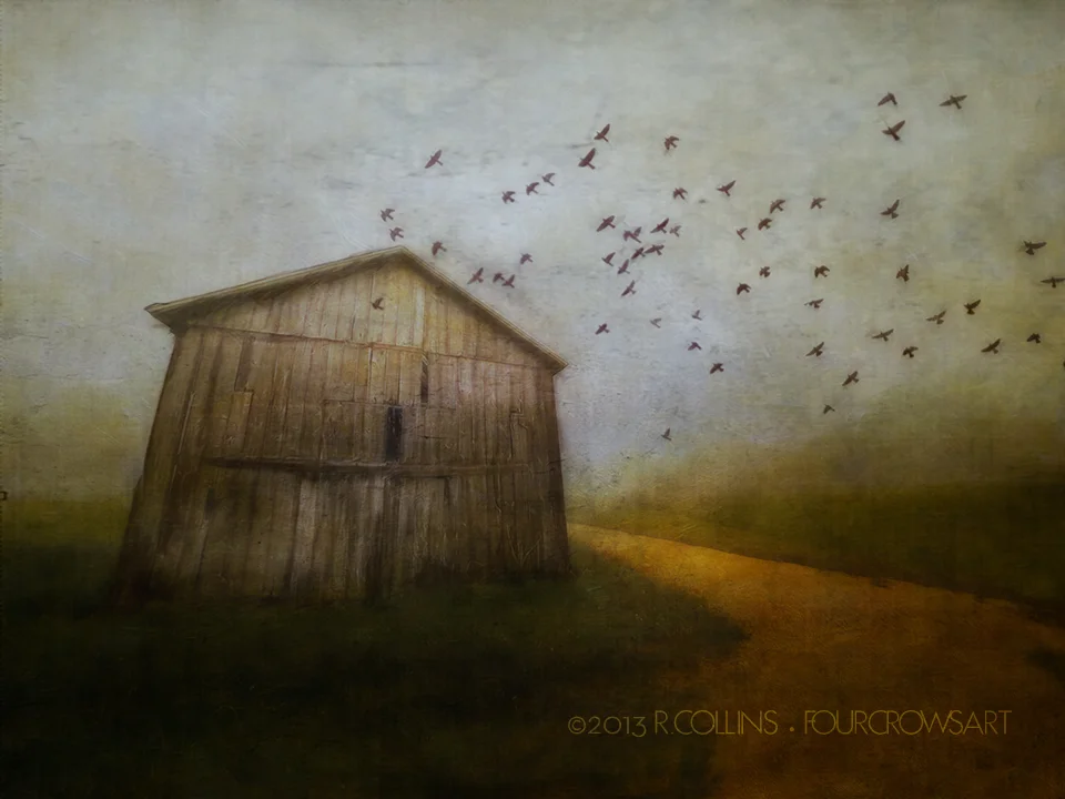 Shed