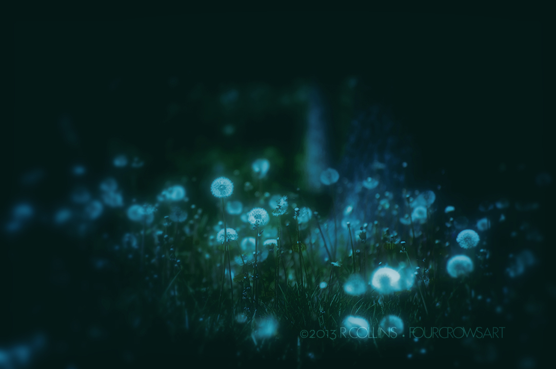 MoonlightMagic.jpg