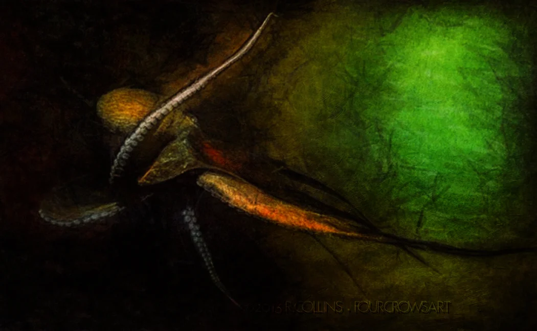 Octopus