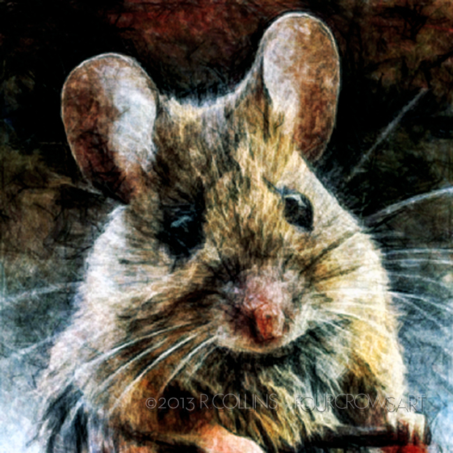 Mouse