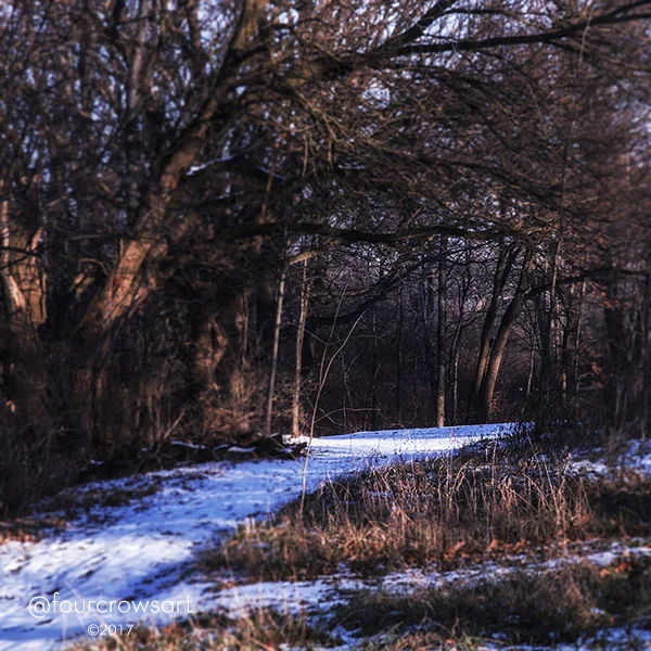 Winter Walk 1
