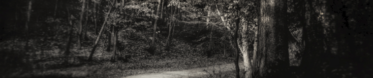 blog_header_pic.png