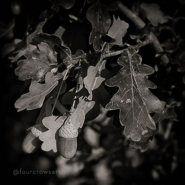 Autumn...Already