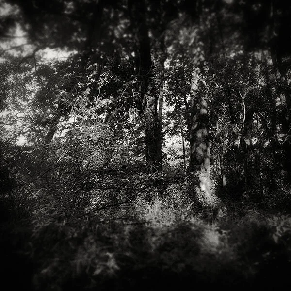 Excess