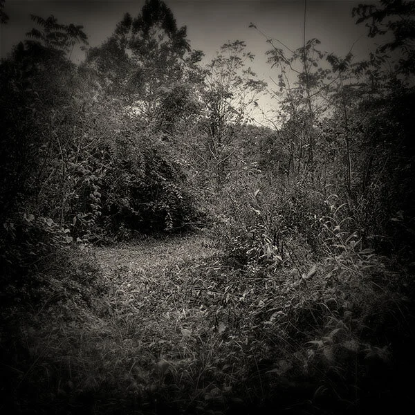Solitude