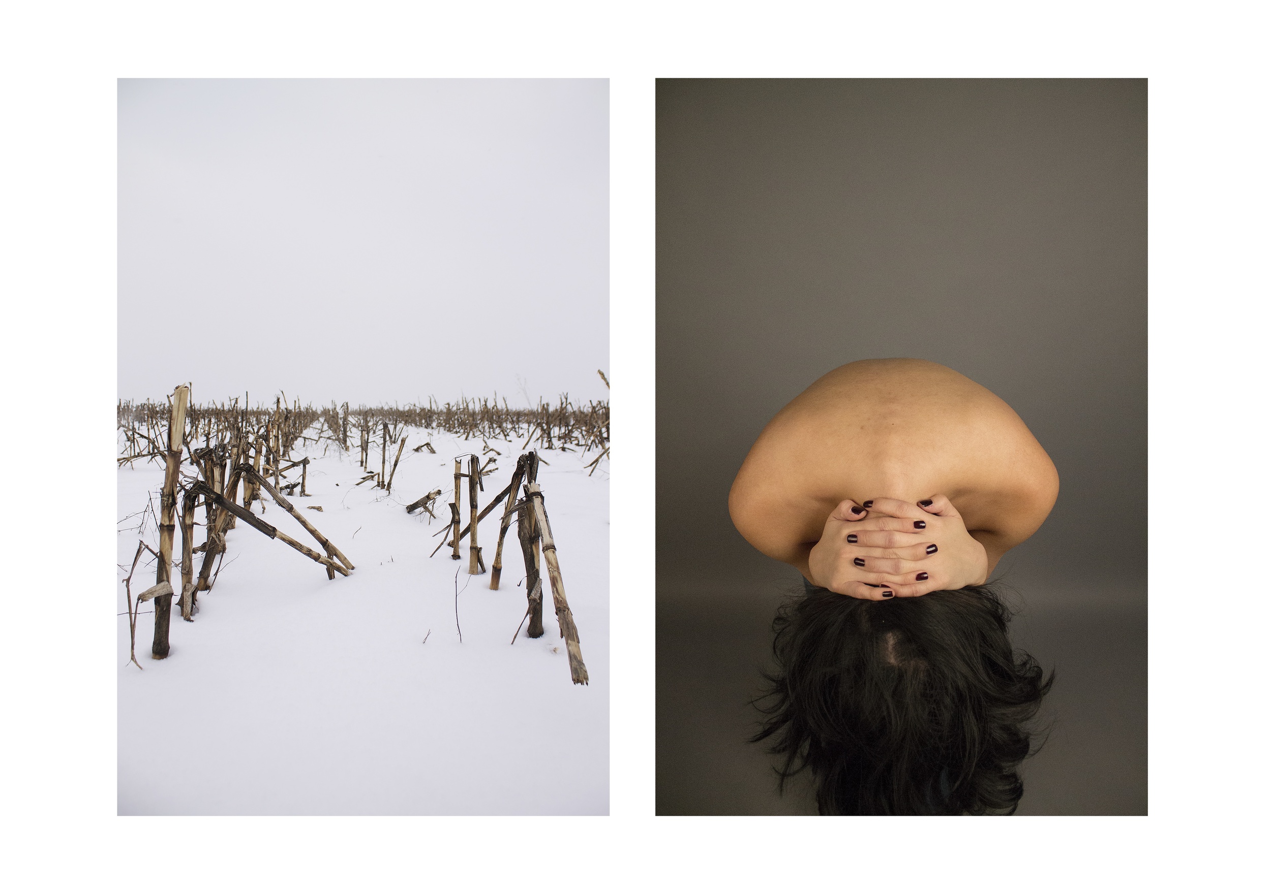 Diptych_4.jpg
