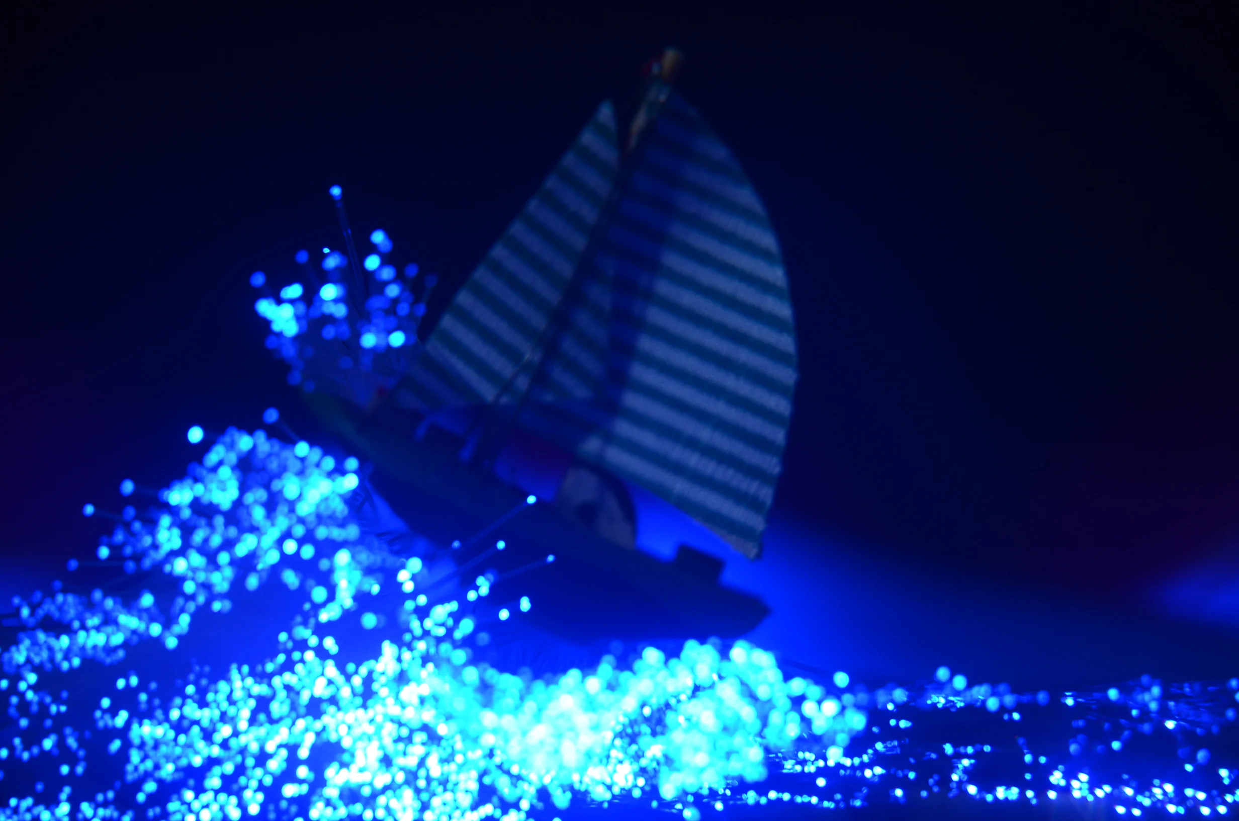 DSC_0072.JPG