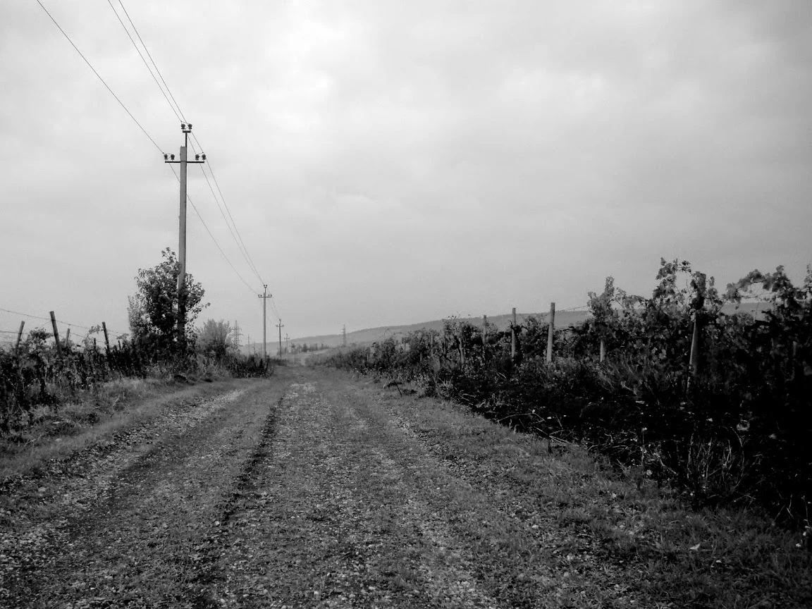 Image near to the same spot by Sveta, 2014