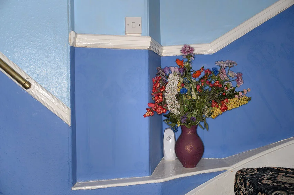 A room with a view - Rothesay