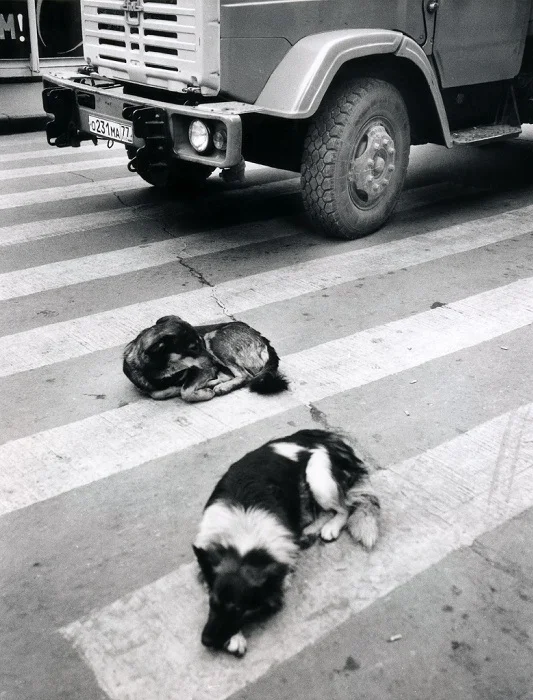 B&w007