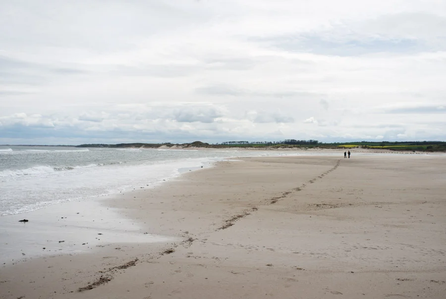 Alnmouth-16.jpg