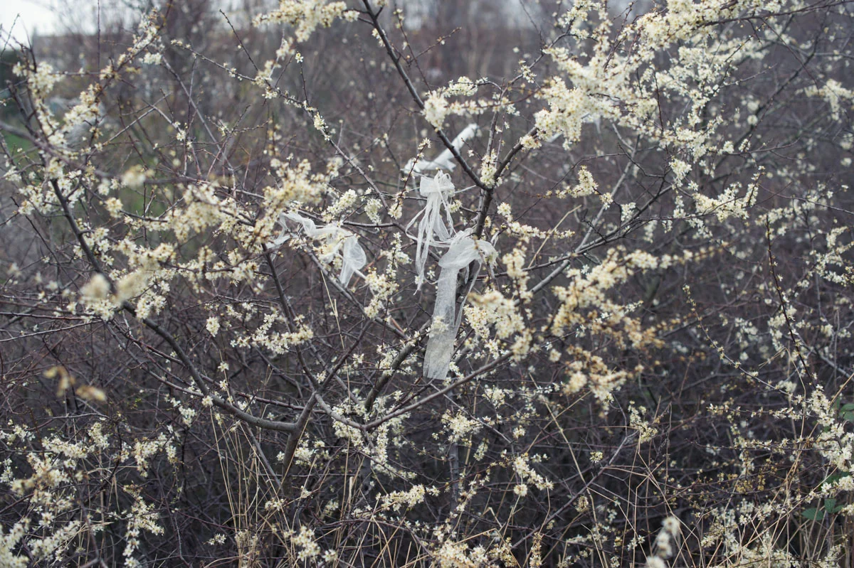 SIM5951-Edit1.jpg