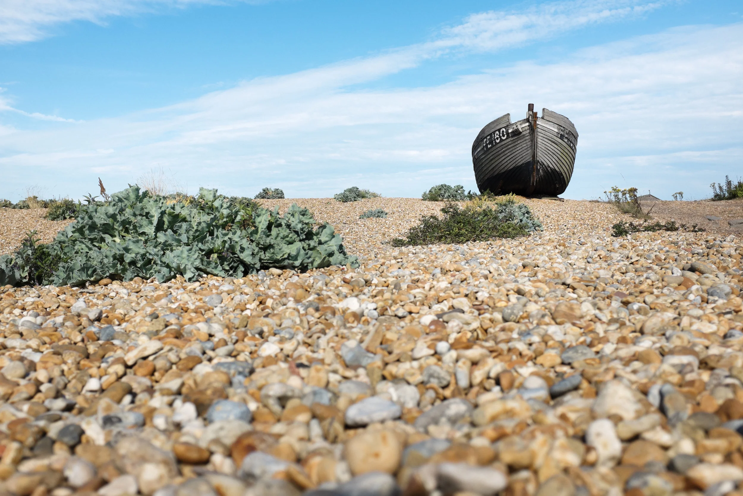 Dungeness-5.jpg