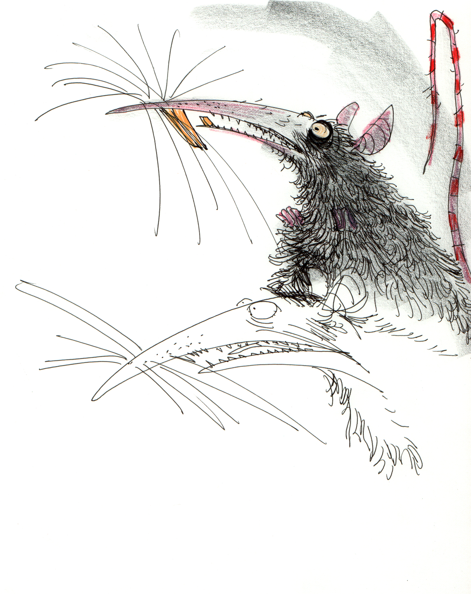Maybe Victor would have a rat to interact with in the cellar or the attic.
