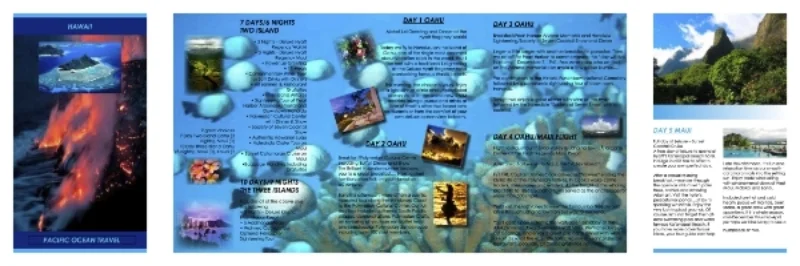 Boyle_Hawaii Guide Project_2013.jpg