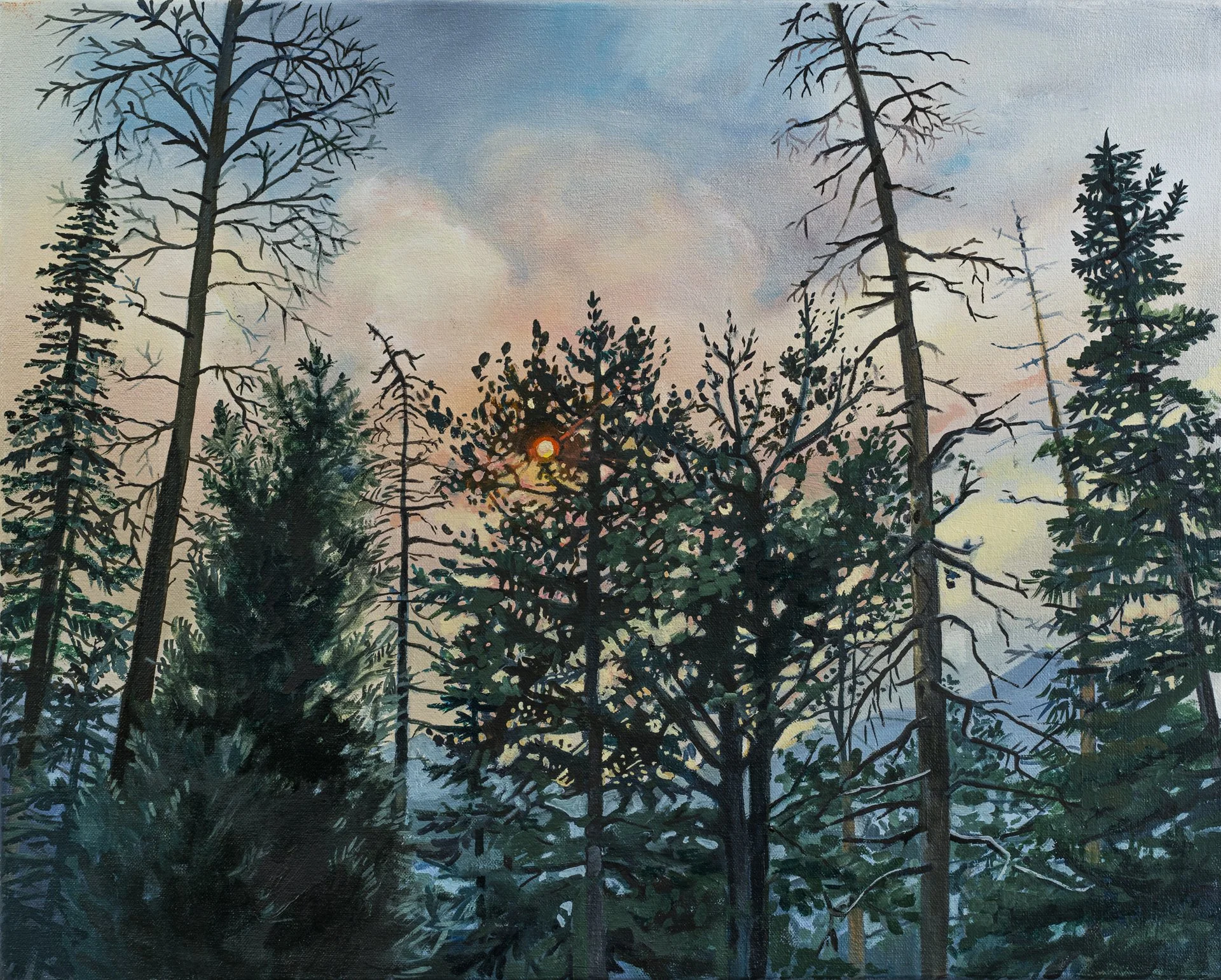 Boyle.Sarah: Trees With Sun Spot: 2021: oil on canvas: 16 x 20 in.jpg