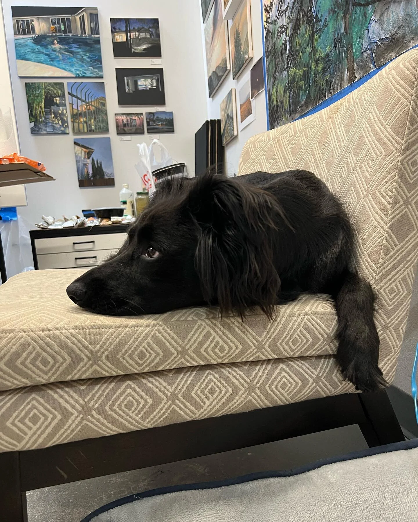 Daisy, carefully observing my work and looking like a classmate during crit week. 

#dogsinstudio #artdogs #symbolistlandscapes #painting #art #critique #dogcritic #dogsofinstagram #itsadogsworld #dogsandart #studiobuddy #loyalcompanion #artist #cont