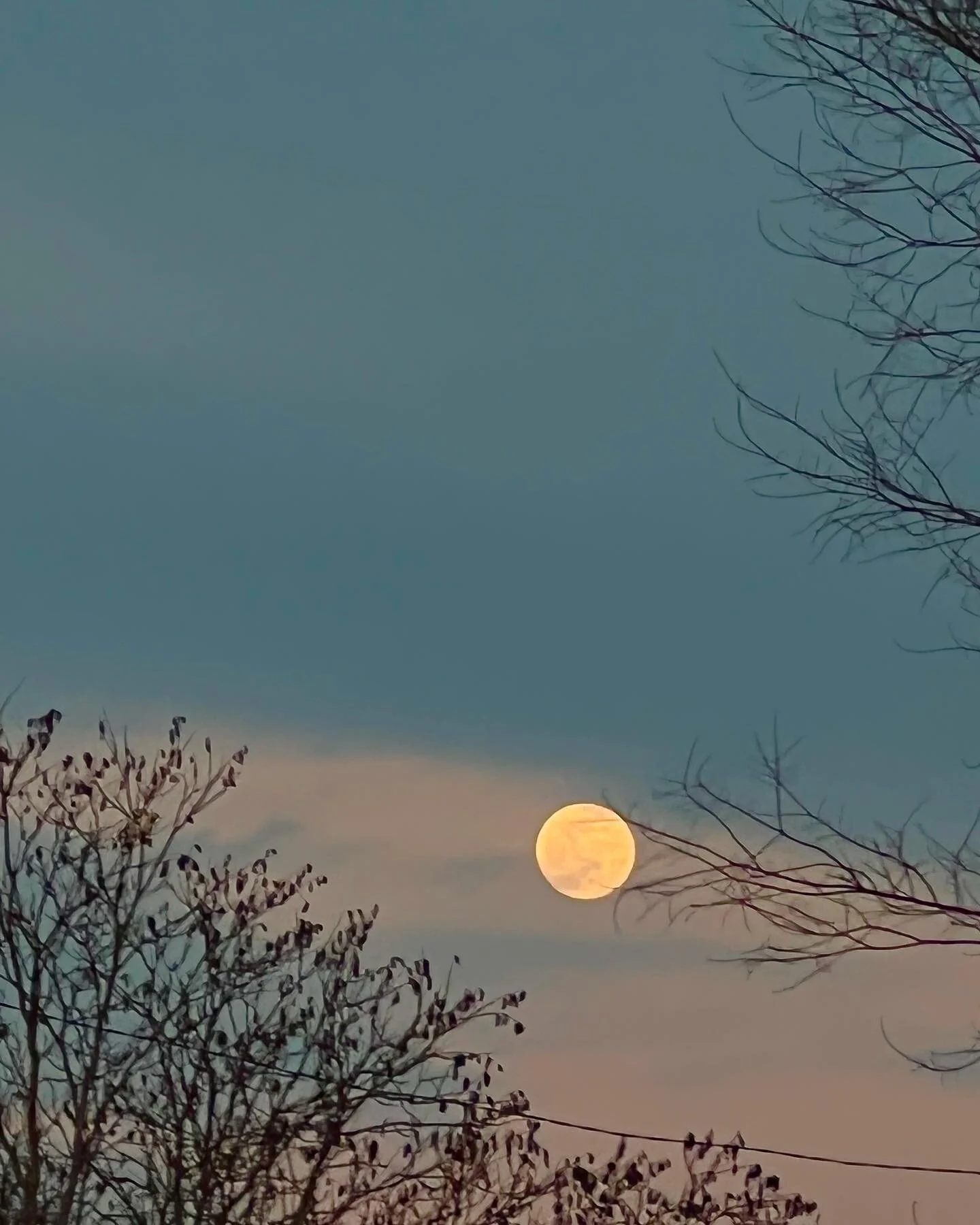 The sickest moon tonight 🌙 

Today feels amazing. I got the best invitation on January 23rd from @victoriajfry: to show my art with @visionaryartcollective in their first in person exhibition 𝘛𝘩𝘦 𝘓𝘦𝘯𝘴 𝘛𝘩𝘳𝘰𝘶𝘨𝘩 𝘞𝘩𝘪𝘤𝘩 𝘞𝘦 𝘚𝘦𝘦. I 
