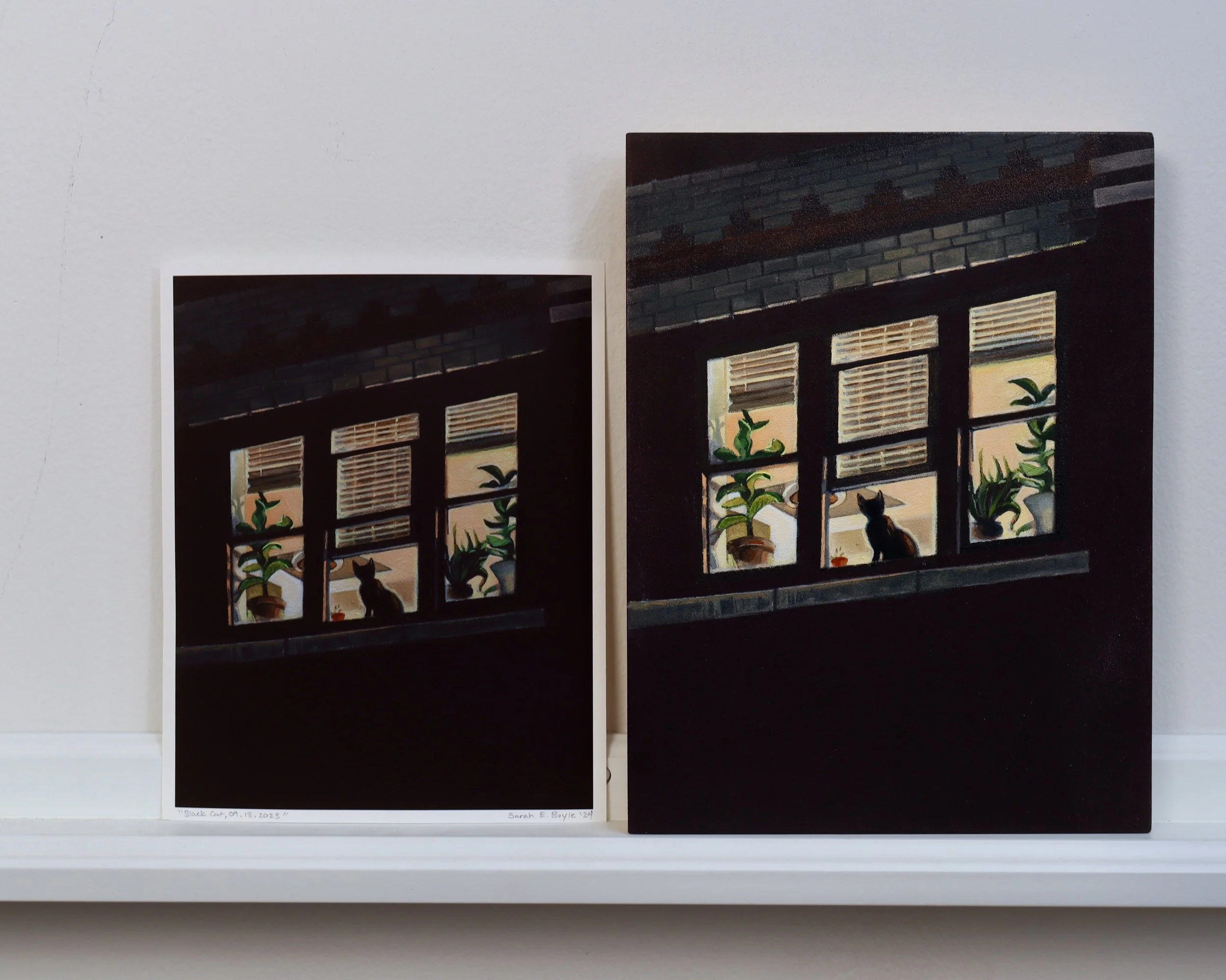 Black Cat, Shop Photo 02.jpeg