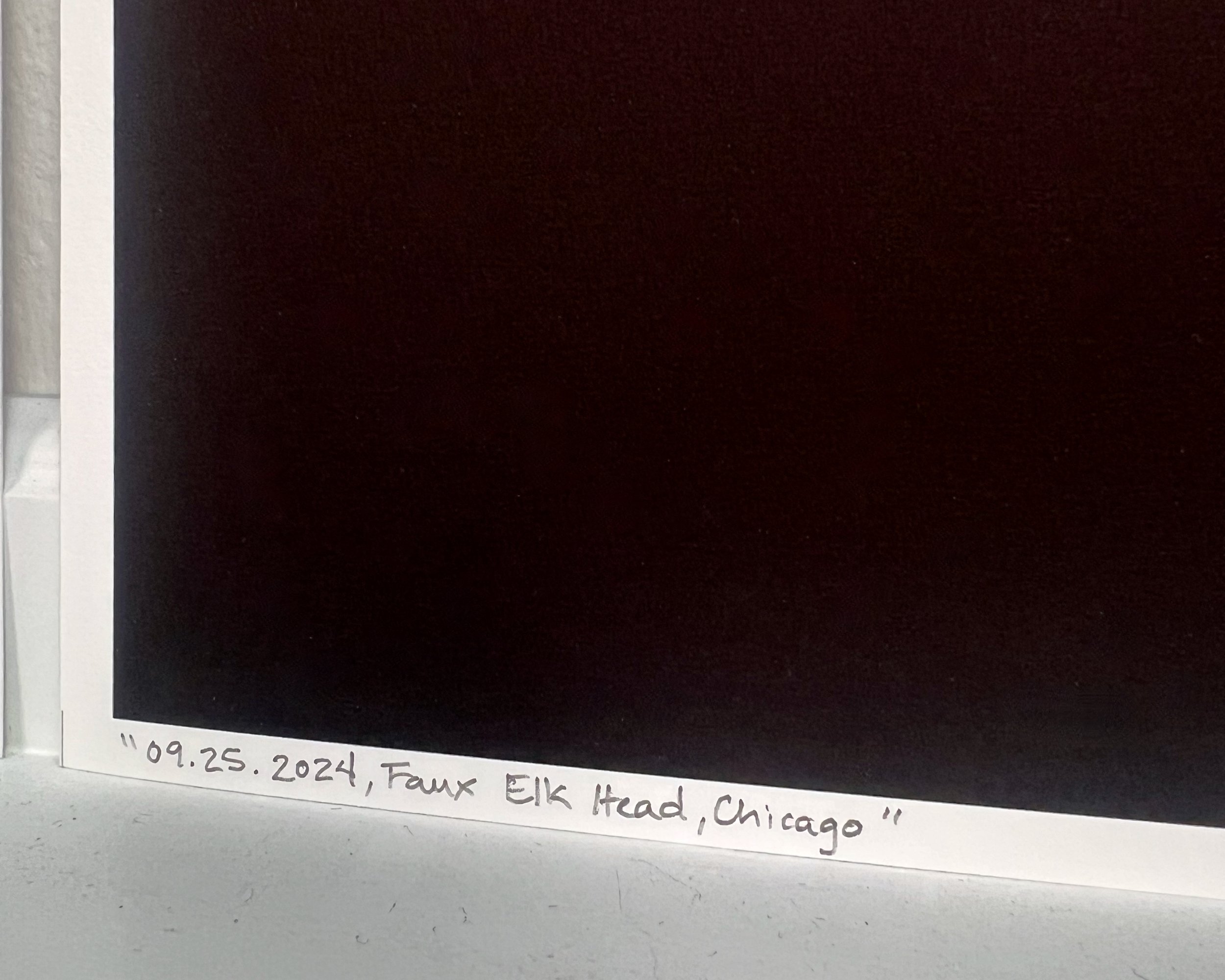 09.25.2024, Faux Elk Head Chicago, Shop Photo 05.jpeg