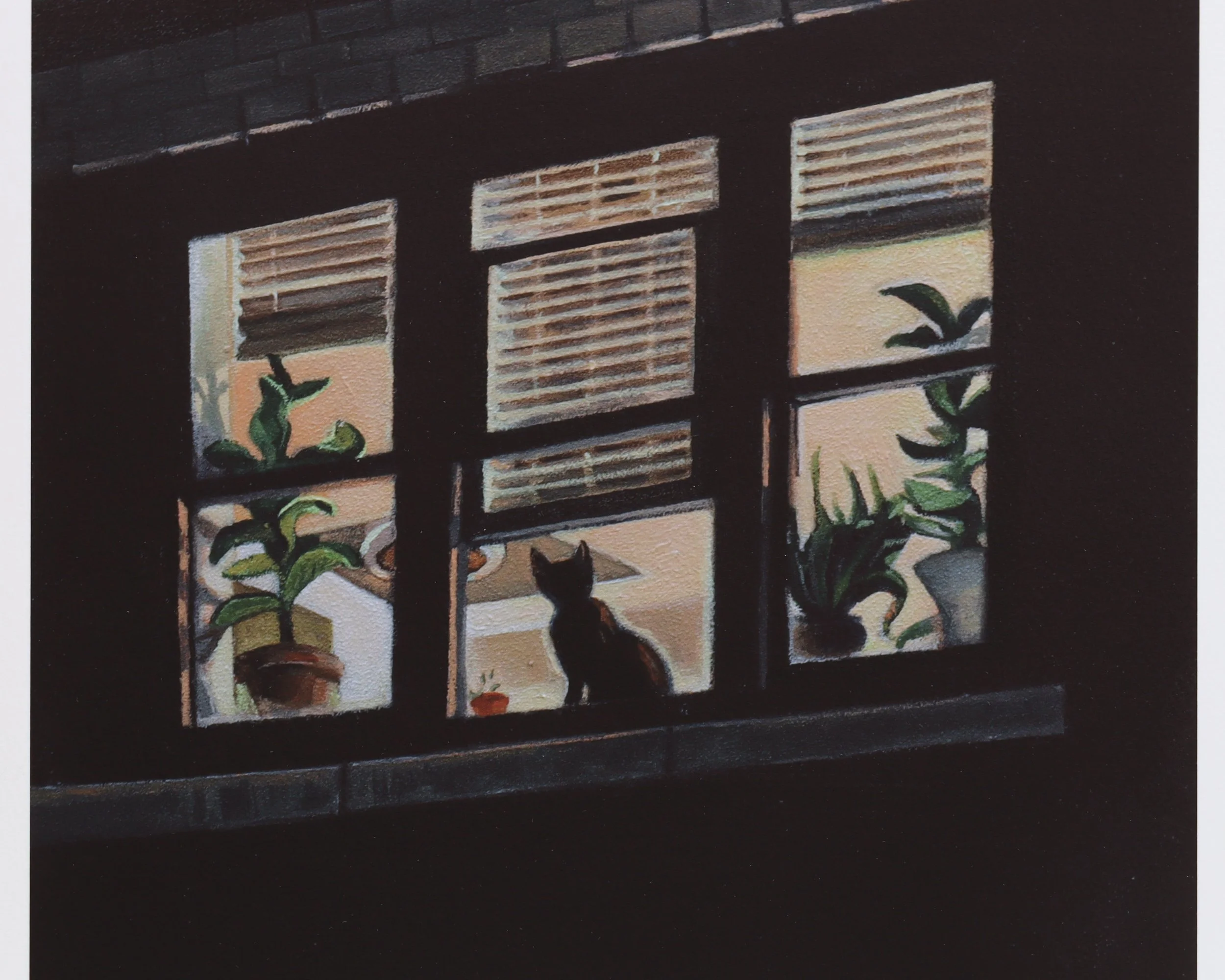 Black Cat, Shop Photo 04.jpeg