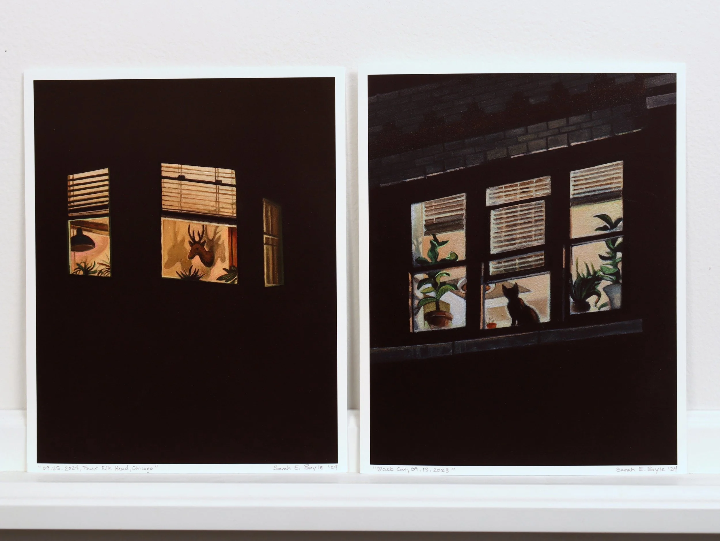 Black Cat, Shop Photo 05.jpeg